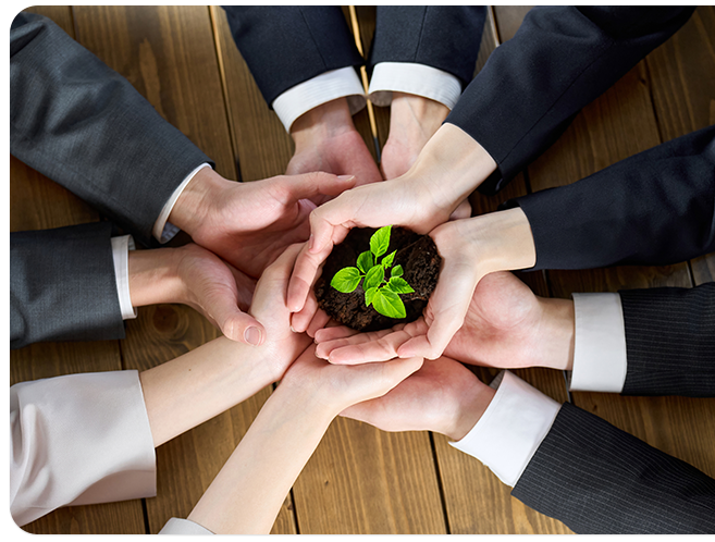 Conocer y comprender los conceptos, visiones, indicadores y mejores prácticas de gestión sostenible, su relación con la responsabilidad social de las empresas, la ciudadanía corporativa, los temas financieros, sociales, ambientales y de gobierno corporativo involucrados en los procesos actuales de la organización y su importancia en la generación y protección de valor para las empresas y su cadena de suministro