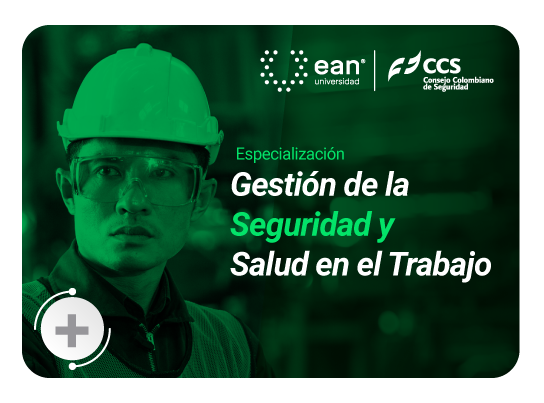 Especializacion Gestion de la Seguridad y salud en el Trabajo 